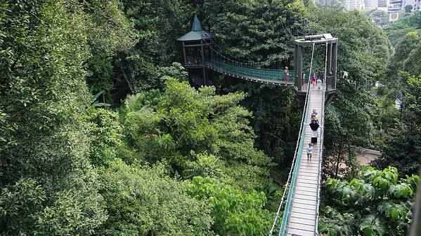 Kuala Lumpur Forest Eco Park.jpg